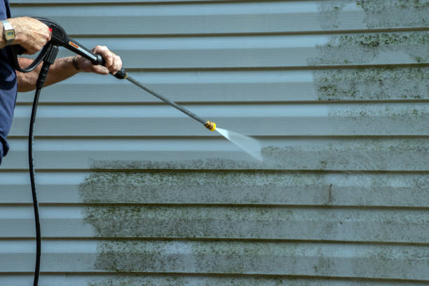 Best Window and Screen Pressure Cleaning in Mercedes, TX